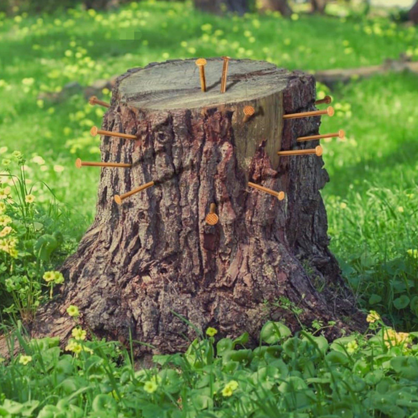 Гвозди для пней деревьев, проф – обзор и цена Heavy Equipment Landscaping